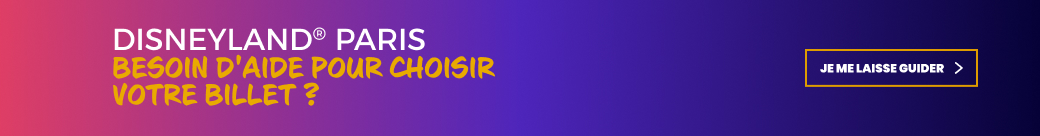 LP - Disneyland Paris